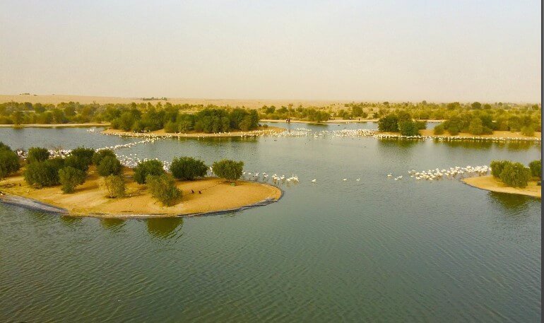 Al Qudra Lakes Where Desert Meets Water