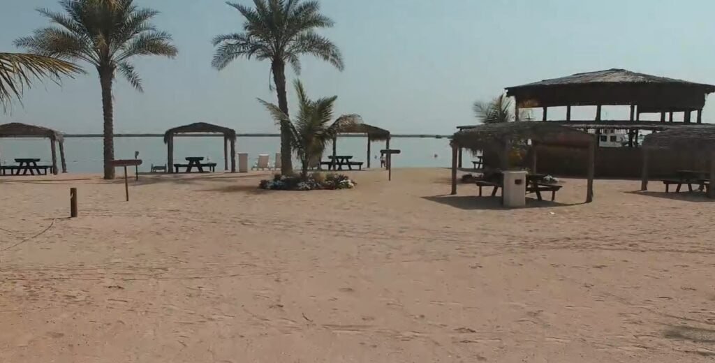 The Mangroves & Marine Club