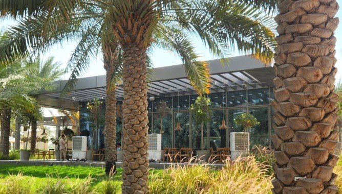 Angel Cakes Dubau