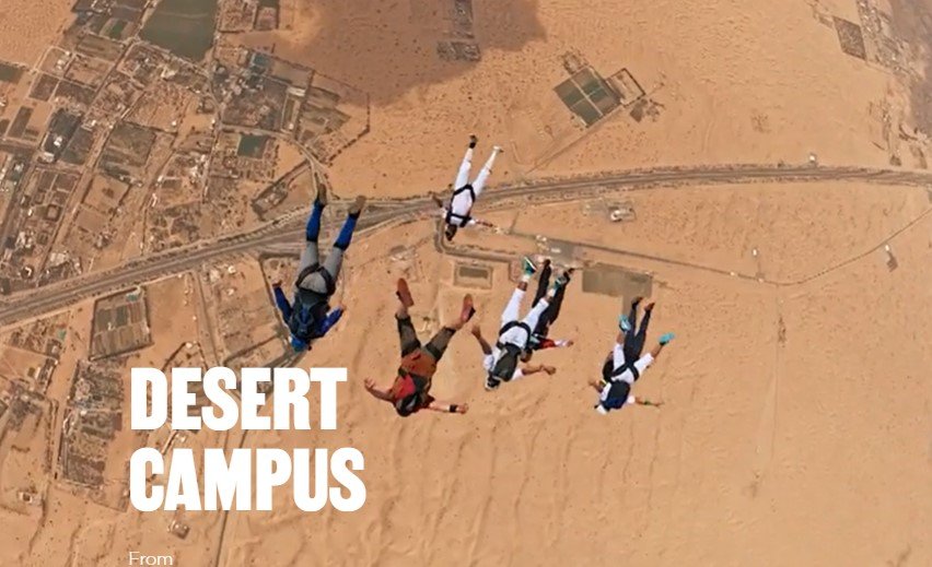 Palm Dropzone
