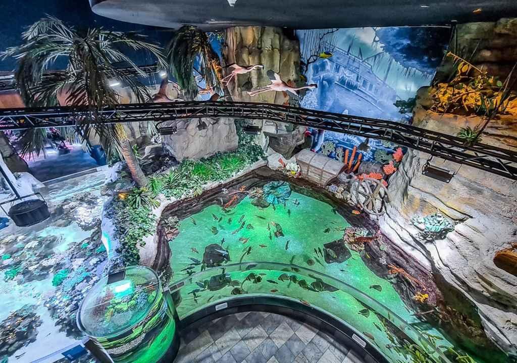 Dubai Aquarium and Underwater Zoo — More Than a Tourist Attraction