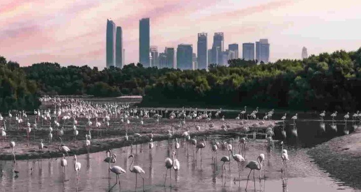 Ras Al Khor  — Industrial Area Turning Residential