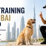 dog training dubai Guide