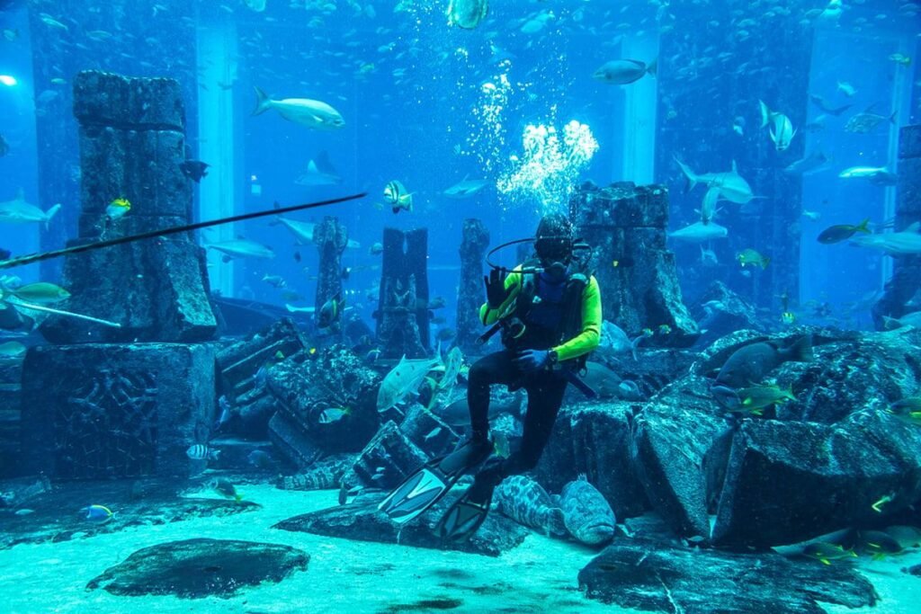 Diving at Aquaventure