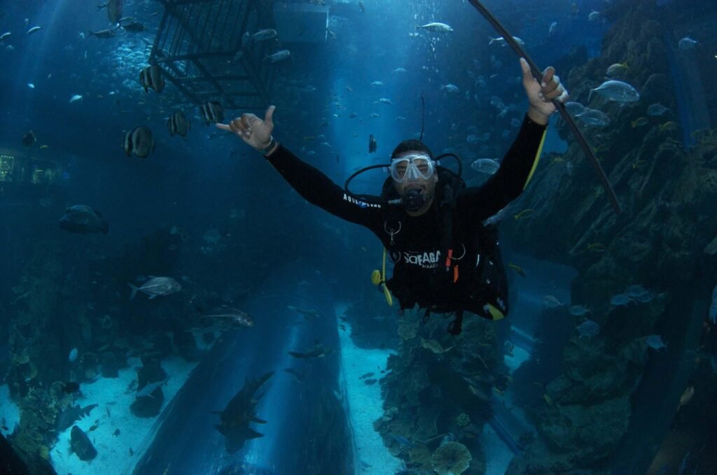 Dubai Mall Aquarium Shark Dive