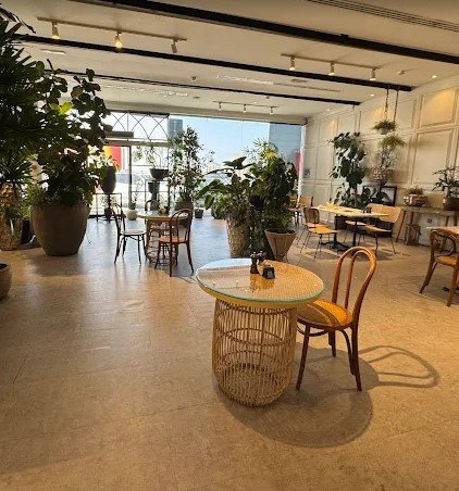 Next Artisan Bakers, Al Barsha 2
