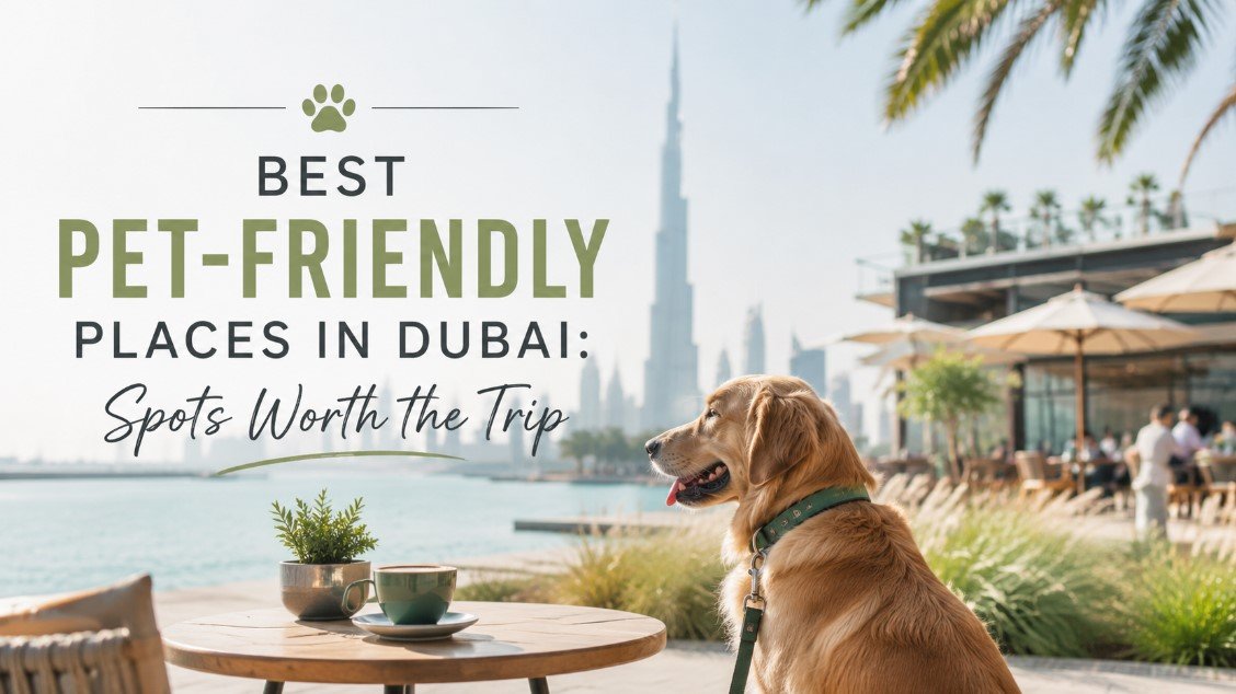 Pet-Friendly Places in Dubai