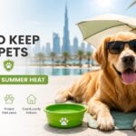 Tips to keep your pets safe in the UAE’s summer heat