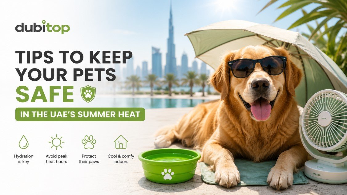 Tips to keep your pets safe in the UAE’s summer heat